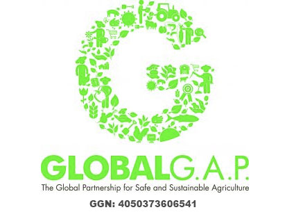 global