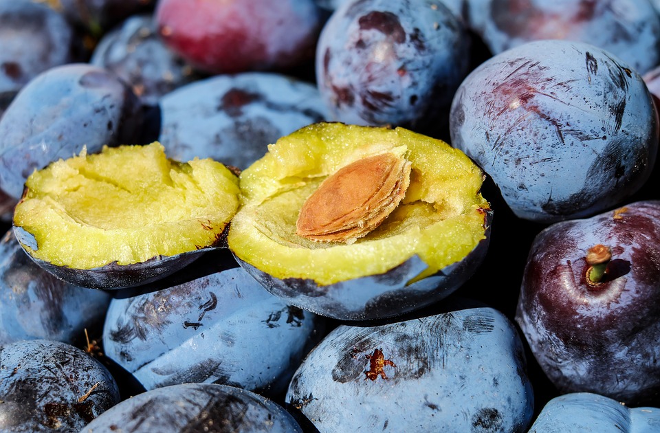 plum-1690579_960_720